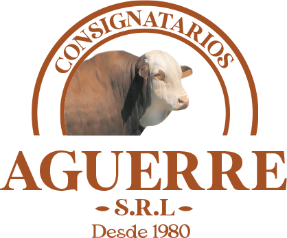 Aguerre SRL